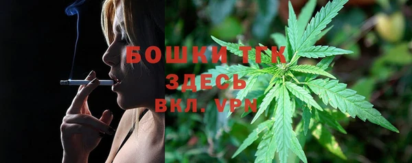 ГАЛЛЮЦИНОГЕННЫЕ ГРИБЫ Беломорск