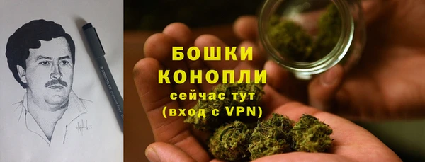 ГАЛЛЮЦИНОГЕННЫЕ ГРИБЫ Беломорск