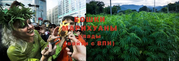 ГАЛЛЮЦИНОГЕННЫЕ ГРИБЫ Белоозёрский