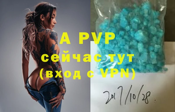 бошки Белокуриха