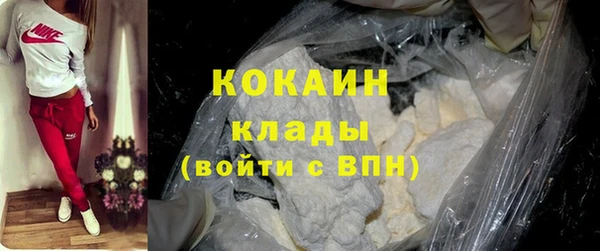 бошки Белокуриха