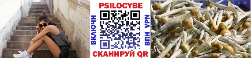где купить наркоту Топки Галлюциногенные грибы ЛСД